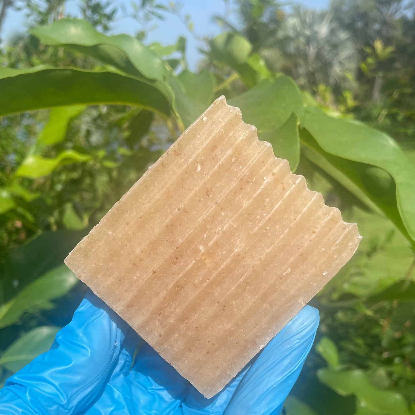 Oats and Aloe Body Bar